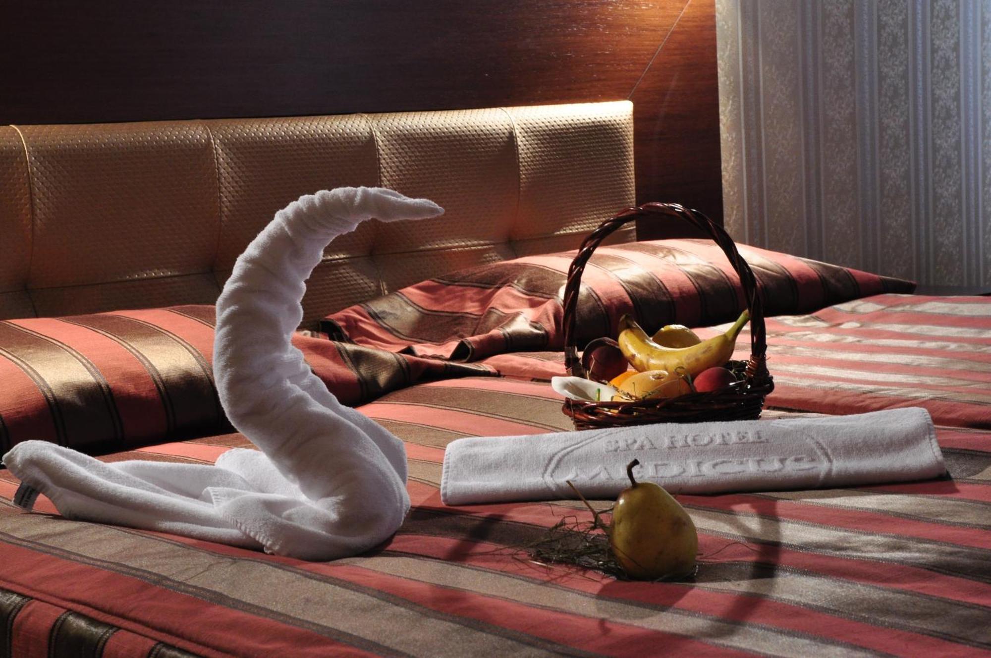 Spa Hotel Medicus Выршец Экстерьер фото